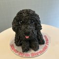 3D Puppy cake