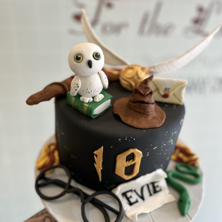 IMG_E8331-450x450 Harry Potter Cakes