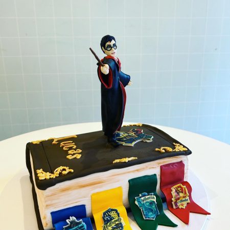 HP-450x450 Harry Potter Cakes