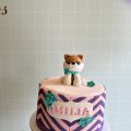 Shiba dog cake